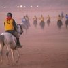 Международная федерация конного спорта ищет замену Дании