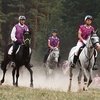 Дистанционные конные пробеги в Спасск-Рязанском