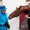 Королева посетила клинику для лошадей