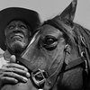 Морган Фриман научит лошадь разговаривать в драме «Прекрасный Джим Ки»