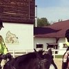 Дочка Волочковой разделяет мамину любовь к лошадям