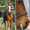 Лошади помогли мальчику-аутисту заговорить