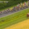 Лошадь не смогла обогнать велосипедистов на Tour de France