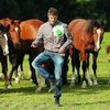 Чемпион мира по футболу – владелец скаковой лошади!
