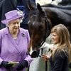 Скаковая лошадь королевы Великобритании не прошла допинг-тест