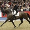 Эдвард Гал остался без топовой лошади на время Всемирных конных игр