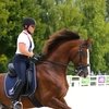 Расписание трансляций соревнований по конному спорту с Всемирных конных игр