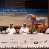 Конная выставка в Абу-Даби: восточный размах