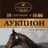 Аукцион чистокровной верховой и арабской пород лошадей