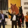 Лучших лошадей ахалтекинской породы выбрали на ВВЦ