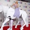 Леди Гага обзавелась конюшней на 8 лошадей