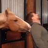 Немецкие власти сняли санкции с лошадей Рамзана Кадырова