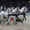 Мастера конного спорта собрались в Штутгарте
