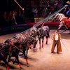 Конный цирк Тамерлана Нугзарова: верность традициям и любовь к лошади
