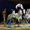  Madrid Horse Week: конный спорт и шоу в Испании!