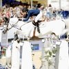 Лошадь погибла на конкурном турнире в Женеве