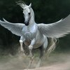 Волшебные лошади, запечатленные в легендах и мифах