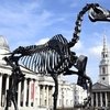 Скелет лошади установили в Лондоне