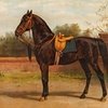 Лошади голландского художника Отто Эрельмана