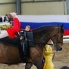 Кубок России по вольтижировке пройдет на выходных в Москве