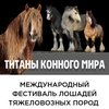 Фестиваль тяжеловозных и упряжных пород