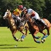 В «Московском Поло Клубе» пройдет турнир на Кубок Федерации игроков конного поло