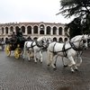 Крупнейшая конная выставка пройдет в Италии