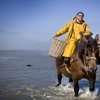 Бельгийские рыбаки предпочитают лодкам лошадей