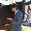 Бесплатная ветеринарная консультация ждёт конников на Эквиросе