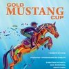 Первый открытый Кубок Gold MustЪang по конкуру