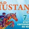 Кубок Gold Mustang по конкуру