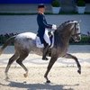 Голландский всадник дебютировал в Большом призе с новой лошадью