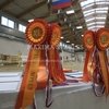 Кубок торгового центра «XL» по конкуру в Maxima Stables!