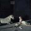 Кейт Мосс: фотосессия с лошадьми!