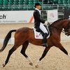 Подготовка к Олимпиаде в Рио: Япония покупает элитных выездковых лошадей!