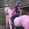 Розовый конь: яркая акция Эммы Хислоп против рака груди