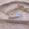 В Афинах археологи обнаружили очень редкое конное захоронение