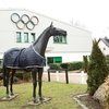 Необходимость хорошего отношения к лошадям: Федерация конного спорта Германии вводит новое правило