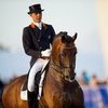 Романов - новая лошадь в олимпийской команде Нидерландов