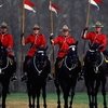 1 февраля: день образования Королевской канадской конной полиции!