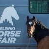 Helsinki Horse Fair 