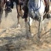 Кампания против жестокого обращения с лошадьми на пробегах набирает обороты