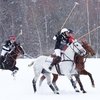 В Московской области пройдет первый Российско-Швейцарский турнир по поло на снегу
