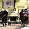 В Великобритании запустят тренировочный комплекс для лошадей