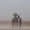 Наводнение в ОАЭ: конный пробег под шквальным ветром!