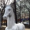 Уфу украсила белая лошадь