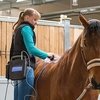 Вопросы ветеринарным врачам на ярмарке лошадей в «Maxima Stables»!