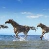 Необычная скульптурная композиция из пяти лошадей появится в Чите