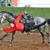 В Геленджике откроется конный театр