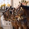 В дни подготовки к международному фестивалю в Москве будет отменен развод конного и пешего караулов
